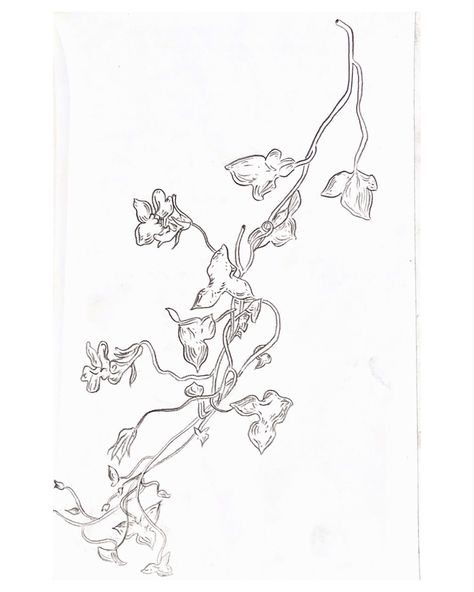 Snap Dragon Vine Drawing, Snapdragon Vine Tattoo, Snap Dragon Vine Tattoo, Snap Dragon Vine, Dragon Vine Tattoo, Vietnamese Inspired Tattoo, Vines Sketch, Snap Dragon Tattoo, Snapdragon Tattoo