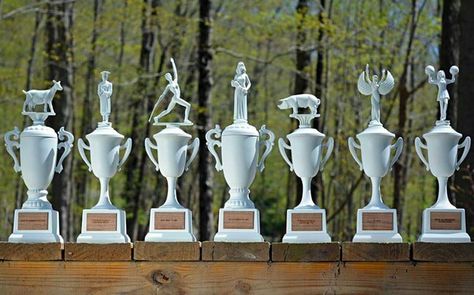 Funny Trophies, Palm Springs Bach, Diy Trophy, Olympic Theme Party, Golf Trophies, Award Ideas, Custom Trophies, Engraved Plates, Eclectic Wedding