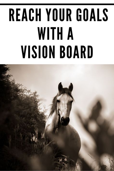 How to create a vision board that helps you reach your equestrian and life goals. Vision Goal Board, Diy Vision Board, Equestrian Training, Intentional Living Quotes, New Year New Beginnings, Fun Planner, Set Goals Quotes, Vision Board Diy, Make A Vision Board