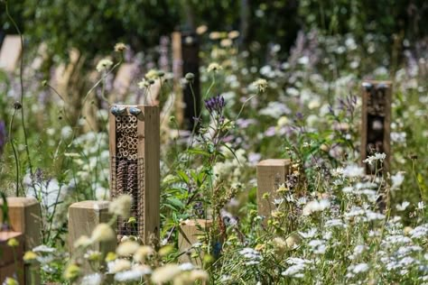 Wildlife Garden Ideas, Hampton Court Gardens, Insect Garden, Sustainable Garden Design, Hampton Court Palace Gardens, Hotel Landscape, Bug Hotel, Insect Hotel, Wildlife Garden