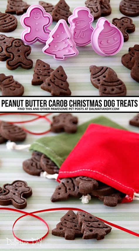 Dog Chocolate Recipe, Gourmet Dog Treat Recipes Homemade, Christmas Treats For Dogs, Carob Dog Treats Recipes, Dog Christmas Cookies Recipe, Fancy Dog Treats Homemade, Chocolate For Dogs, Dog Christmas Treats, Carob Dog Treats