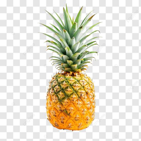 juicy pineapple illustration with leaves whole pineapple pineapple clipart tropical fruit png Png Fruit, Pineapple Clipart, Pineapple Illustration, Fruit Png, Transparent Image, Tropical Fruit, Png Transparent, Png Image, Pineapple