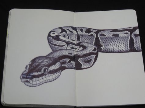 Snake Sketchbook drawing by Tim Jeffs https://www.etsy.com/shop/TimJeffsArt Reptiles Drawing, Snake Sketch, Snake Drawing, Filmy Vintage, Snake Art, Book Drawing, Arte Sketchbook, Pencil Art Drawings, Art Drawings Sketches Creative