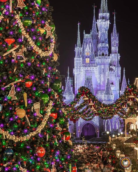 Disney Christmas Aesthetic Wallpaper, Disney Christmas Aesthetic, Disney At Christmas, Christmas Lifestyle, Street At Night, Disney Lifestyle, Disney World Christmas, Disney Christmas Ornaments, Christmas Aesthetic Wallpaper