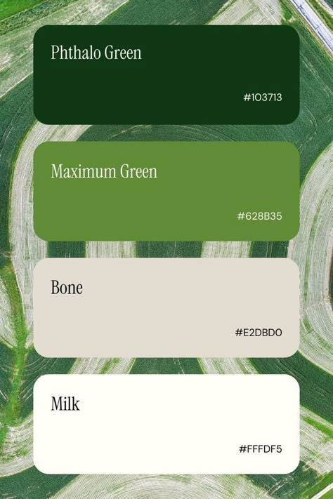 Color Palate Green, Color Palette Of Green, Green Ombre Color Palette, Shade Of Green Palette, Green House Palette, Environmental Color Palette, Cool Green Color Palette, Green Aesthetic Palette, Green Pallet Color Colour Palettes