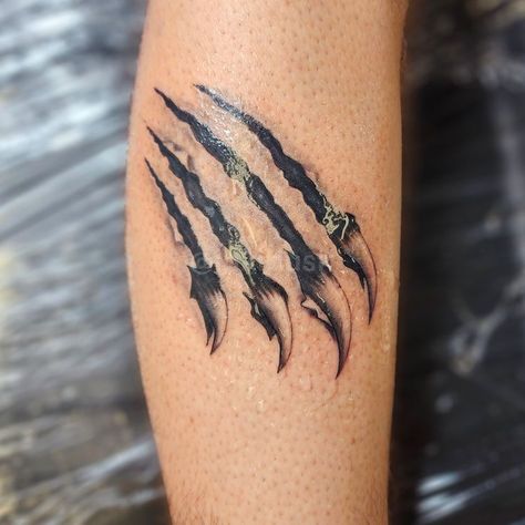 Bear Claw Tattoo Women, Bear Scratch Tattoo, Scratches Tattoo, Claw Mark Tattoo, Tiger Claw Tattoo, Shark Gills, Scratch Tattoo, Bear Claw Tattoo, Tattoo Advice