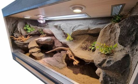 Uromastyx Lizard Enclosure, Leopard Gecko Bioactive Vivarium, Lizard Vivarium, Uromastyx Enclosure, Bearded Dragon Terrarium In Living Room, Leopard Gecko Terrarium Ideas 20 Gallon, Arid Terrarium, Bio Active Leopard Gecko Tank, Crusted Geckos Tank