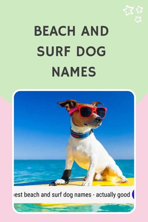 So, if you love the ocean, and the beach and plan on making many memories with your new pup there, these 60 unique best beach and surf dog names will make you Creative Dog Names, Summer Names, Boy Dog Names, Hawaiian Names, Boat Theme, Pet Sitting Business, Summer Puppy, Girl Dog Names, Female Dog Names