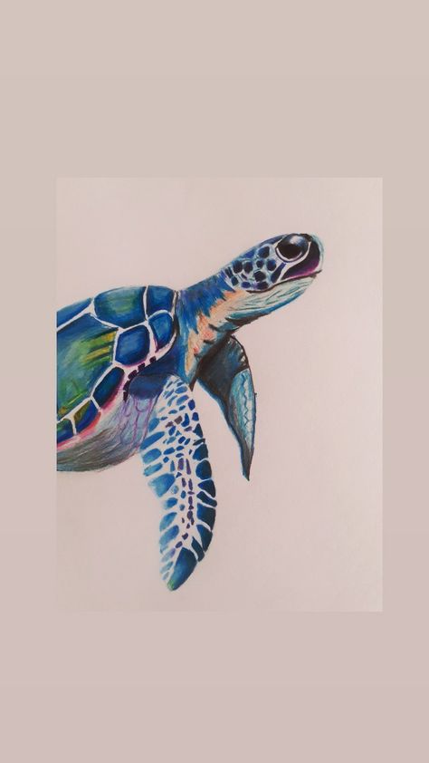 Pencil colour drawing Sea Turtle Colored Pencil, Pencil Colour Drawing, Colored Pencil Artwork Ideas, Whale Drawing, Book Reference, Colour Drawing, Turtle Drawing, Sea Life Art, Colored Pencil Artwork