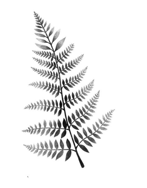 Small Fern Drawing, Fern Leaf Tattoo Design, Fern Leaf Tattoo, Fern Tattoo Design, Abstract Tattoo Ideas, Abstract Tattoos, Fern Tattoo, Autumn Tattoo, Tattoo Themes