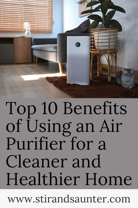 Top ten air purifier benefits Air Purifier Aesthetic, Air Purifier Benefits, Diffuser Benefits, Honeywell Air Purifier, Homemade Detergent, Best Air Purifier, Room Air Purifier, Natural Air Purifier, Eco Friendly Diy