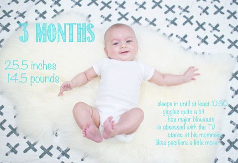 Finn Is 3 Months! 2 Months Baby Quotes, 2 Months Old Baby Captions, 2 Month Old Baby, Baby Captions, 2 Month Baby, 2 Months Old, Monthly Baby Photos, Monthly Baby, Photo Caption