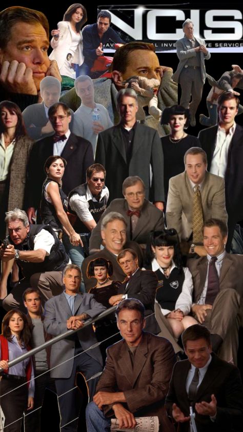 ncis Kate Todd Ncis, Ncis Aesthetic, Ncis Wallpaper, Kate Todd, Mark Harmon, Ncis, Connect With People, Your Aesthetic, Creative Energy