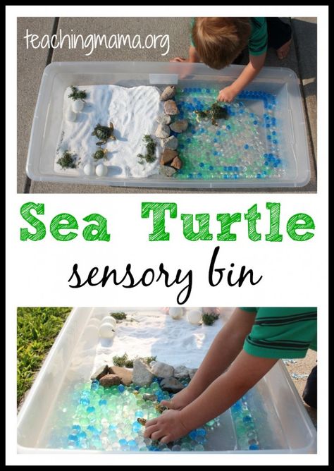 Teaching Mama: Sea Turtle Sensory Bin. Pinned by SOS Inc. Resources. Follow all our boards at pinterest.com/sostherapy/ for therapy resources. Tucker Turtle, Turtle Classroom, Curriculum Themes, Turtle Activities, Games Indoor, Sensory Tubs, Teaching Mama, Turtle Theme, Turtle Day