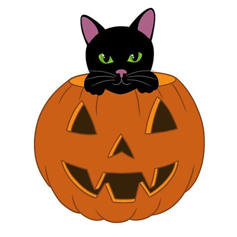 Black Cat Sitting in Pumpkin by NikoRonan | Redbubble Black Cat Sitting, Cat Hiding, Cat Sitting, Cat Drawing, A Pumpkin, Coming Out, Science Poster, Black Cat, Stranger Things Fanart