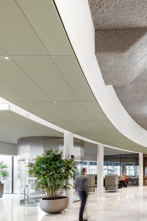 sage green acoustic ceiling tiles in office design Open Office Ceiling Design, Commercial Ceiling Design Offices, Office Passage Ceiling Design, Office Lobby Design, Acoustical Ceiling Clouds, Open Office Acoustic Ceiling, Acoustic Ceiling Tiles, Office Ceiling, Office Lobby