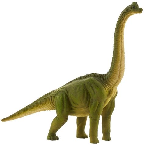 Dinosaur Realistic, Dinosaur Brachiosaurus, Dinosaur Clothing, Dinosaur Figurine, Little Live Pets, Animal Help, Dinosaurs Figures, Dinosaur Art, Prehistoric Creatures