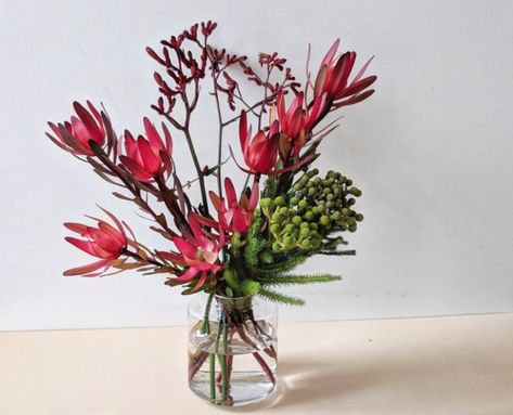 Flowers Australia, Chelsea Wedding, Australian Flowers, Australian Native Flowers, Native Australians, Still Life Flowers, Kangaroo Paw, Vase Arrangements, Australian Native