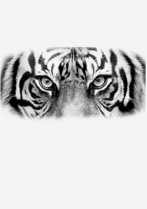 Tiger Eyes Drawing, Tiger Face Tattoo Stencil, Tiger Eyes Tattoo Stencil, Realistic Sun Tattoo, Tiger Forearm Tattoo, Tiger Eyes Tattoo, Tiger Face Tattoo, Tiger Head Tattoo, Buddha Tattoo Design