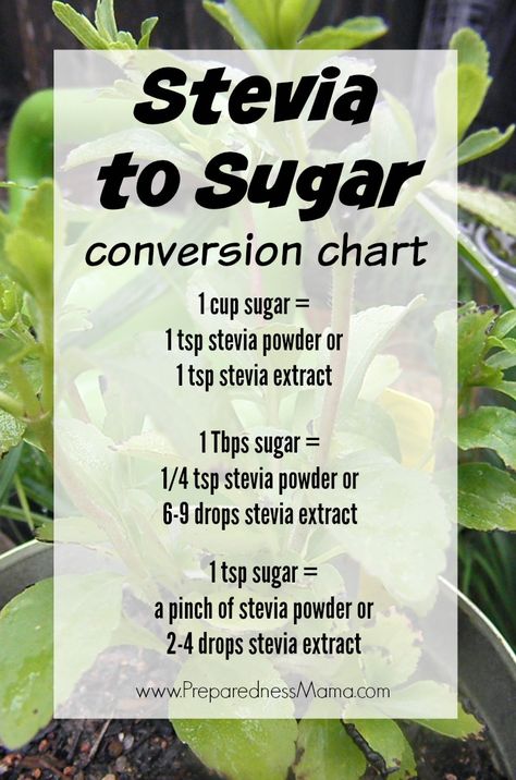 Stevia to sugar conversion chart, plus growing and preserving methods | PreparednessMama Sugar Conversion Chart, Stevia Recipes, Sugar Free Baking, Cooking Measurements, Baking Substitutes, Stevia Extract, Trim Healthy Mama, Sugar Free Desserts, Trim Healthy