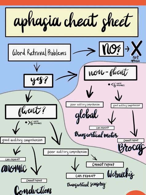 Speech Language Pathology Anatomy, Slp Student Aesthetic, Slp Study Notes, Slp Aesthetic Wallpaper, Medical Slp Aesthetic, Speech Language Pathology Aesthetic, Speech Therapy Aesthetic, Speech Pathology Aesthetic, Slp Anatomy