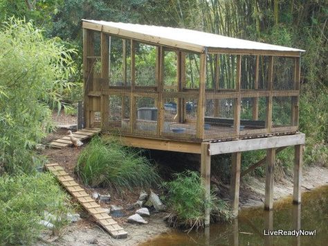 Do you want to build a duck house or coop for your new ducks? Here are 37 of the best free DIY duck house plans we've collected from all over the net. Duck Floating House, Large Duck House, Easy Duck Coop, Goose Coop, Diy Duck House, Floating Duck House, Duck House Ideas, Duck Enclosure, Duck House Plans