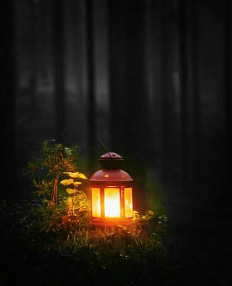 Lantern In Forest, Lantern In The Dark, Forest Witch Aesthetic, Candle Pictures, Aesthetic Witchcraft, Fire Images, Lantern Wallpaper, Sunshine Nature, Black Wizard