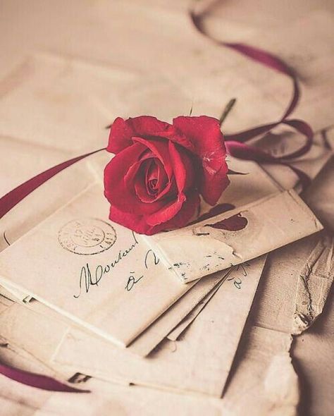 Old Letters, Book Flowers, Montage Photo, Trendy Wallpaper, Rose Wallpaper, Letter Writing, Love Images, Post Cards, Vintage Wallpaper