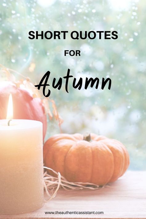 short quotes for Autumn Seasons Change Quotes, Quotes For Autumn, Quotes For Fall, Quotes About Autumn, Fall Season Quotes, Motivational Quotes Aesthetic, Autumn Quotes Inspirational, Aesthetic Quotes Positive, Silly Quotes