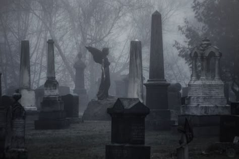 Victorian Gothic Aesthetic, Old Cemetery, The Fallen Angel, Old Cemeteries, Red Colour Palette, Gothic Aesthetic, The Fog, Six Feet Under, Old Dolls