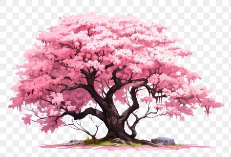 Sakura Tree Reference, Sakura Tree Background, Anime Tree, Sakura Illustration, Chinese Tree, Sakura Trees, Tree Blossom, Blossom Branch, Motorbike Design