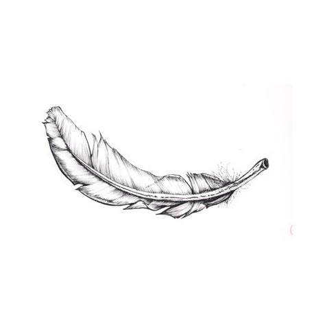 falling feather Falling Feathers Drawing, Falling Feather Tattoo, Feather Drawings, Feather Tat, Baby Memorial Tattoos, Tattoo Feather, Tattoo Thoughts, Feather Illustration, Feather Logo