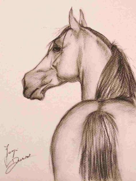 Cool Horse Drawings and Cool Horse Pictures To Draw - Gigantesdescalzos - 16+ Cool Horse Drawings - Drawingwow.com Easy Horse Drawing, Horse Head Drawing, Horse Art Drawing, Horse Sketch, Horse Drawing, Horse Drawings, Amazing Drawings, Charcoal Drawing, Book Art Drawings