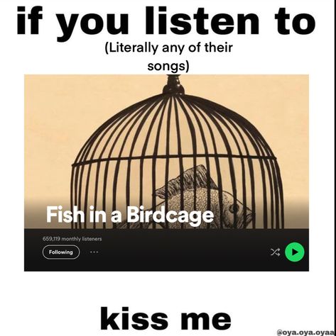 Fish Inside A Birdcage, Fish In A Birdcage, Bird Cage, Marry Me, Music Artists, Fish, Songs, Music