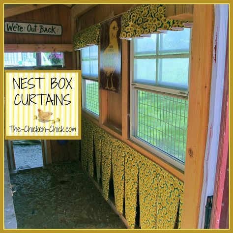 Before my first flock members were old enough to lay eggs, some of them were using the nest boxes as bedrooms. Chickens poop a lot while they sleep and I knew that I had to put a stop to the nightly nest box occupations. I had read that hanging burlap in front of the nest boxes could deter these unwanted slumber parties and figured it was worth a try. Chicken Nest, Brooder Box, Chicken Poop, Chicken Nesting Boxes, Hatching Chicks, Nest Box, Raising Backyard Chickens, Chicken Chick, Backyard Flocks