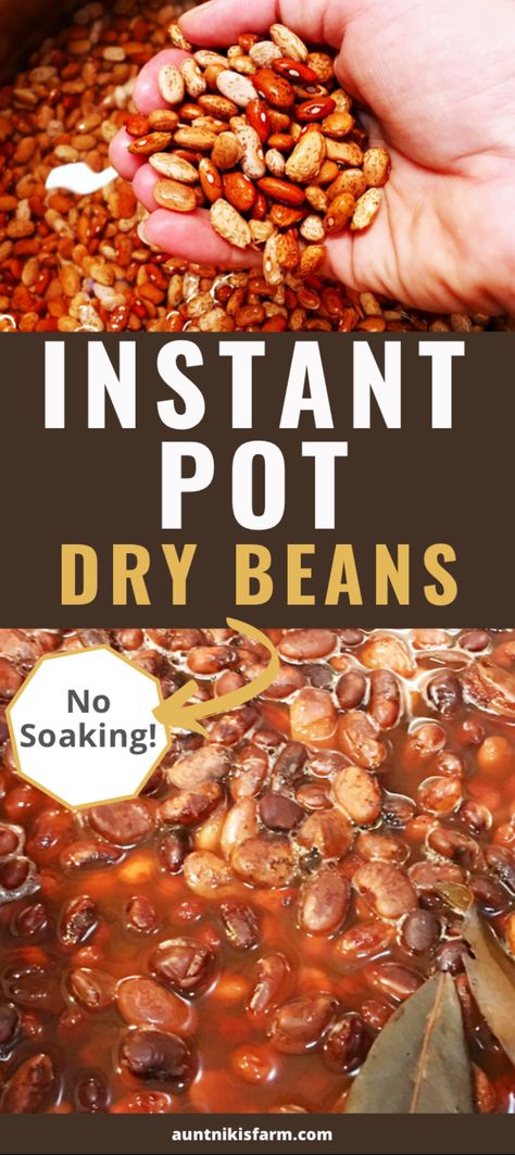 Easy Instant Pot Pinto Beans - Aunt Niki's Farm Beans In Instapot, Dry Beans Instant Pot, Instant Pot Beans, Instant Pot Pinto Beans, Beans Instant Pot, Pot Beans, Bean Varieties, Can Of Beans, Scratch Recipes