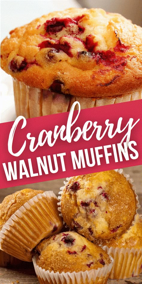 Cranberry Walnut Muffins have both a chewy and crunchy texture and will satisfy all ages on Thanksgiving morning or any morning that you want a wonderful treat. Dried Cranberry Muffins, Craisin Muffins, Thanksgiving Muffins, Cranberry Nut Muffins, Cranberry Dishes, Cranberry Walnut Muffins, Pecan Muffins Recipe, Dried Cranberries Recipes, Cranberry Recipes Muffins