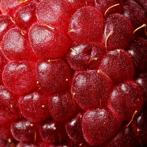 Macro Fotografie, Foto Macro, Food Texture, Fruit Photography, Red Fruit, Natural Forms, Red Aesthetic, Video Editor, Macro Photography