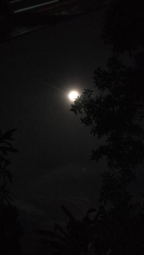 Moon Pics Night Real, Full Moon Pictures, Aesthetic Profile Picture Cartoon Soft, Night Sky Moon, Blue Moon Photography, Night Sky Photography, Sky Photography Nature, Look At The Moon, Shadow Photos