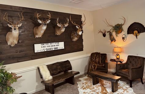 Taxidermy Room Ideas, Deer Hunting Room, Deer Mounts In Living Room, Hunting Trophy Room, Taxidermy Room, Basement Mancave, Man Cave Inspiration, Deer Hunting Decor, Cave Room