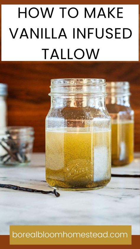 How to make vanilla infused tallow pinterest graphic. Tallow Skin Care Recipe, Tallow Candles With Essential Oils, How To Make Vanilla Body Oil, Diy Tallow Candles, Beef Tallow Balm Recipe, Honey Tallow Balm Recipe, How To Make Tallow Soap, Things To Make With Tallow, Beef Tallow Diaper Cream