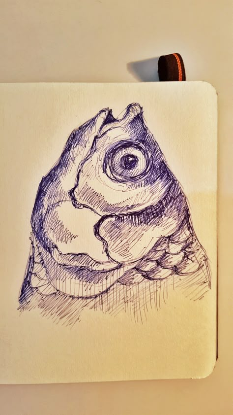 Sketch Artist, Sketchbook Art Inspiration Pen, Interesting Sketches, Drawing With A Pen, Sketch With Pen, Unique Sketch Ideas, Drawings Of Fish, Drawing Ideas Cool, Pen Sketching