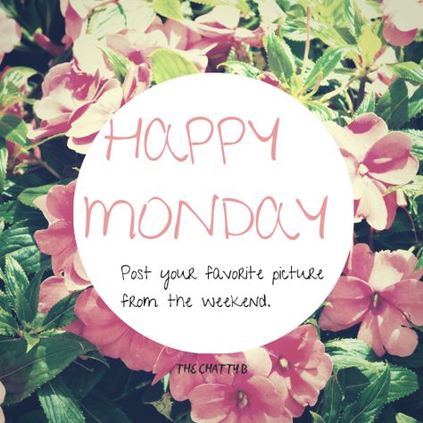 Monday posting to engage more followers. #thechattyb #mondaymotivation #followers #blogger #mommyblogger #lifestyleblogger #mondaymood #mondaymorning #postapic #fun Monday Posts Facebook, Fun Interactive Facebook Posts Monday, Facebook Engagement Posts Monday, Monday Mary Kay Post, Monday Social Media Engagement, Interactive Posts Facebook Monday, Monday Engagement Posts Social Media, Monday Scentsy Post, Monday Facebook Interaction Posts