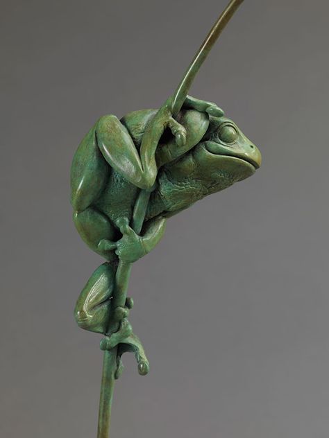 Wood Carved Frog, Lorenzo Bernini, Frog Art, Art Sculpture, Tree Frogs, Clay Animals, Ceramic Animals, Pottery Sculpture, Wow Art