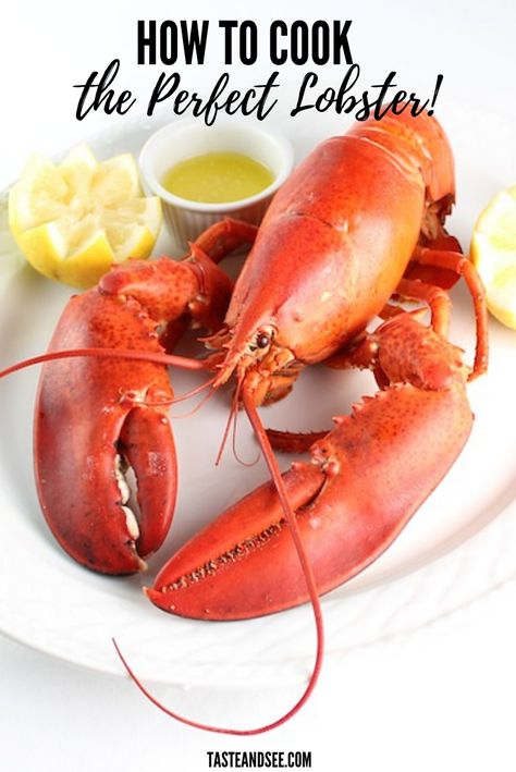 Boiled Lobster with Drawn Butter is sooo easy to make!  De-mystify the question of how to cook live lobster!  This guide to boiled lobster will break it down for you and turn you into a crustacean-taming, seafood loving, lobster-master.  #BoiledLobster #DrawnButter #HowToCookLobster #SeafoodRecipes #TasteAndSee Boiled Lobster Recipes, Boiled Lobster, Best Lobster Tail Recipe, Drawn Butter, Cooking Lobster, Cook Lobster, Lobster Boil, Live Lobster, Lobster Recipes Tail