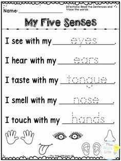 5 Senses Worksheets Kindergarten Worksheets for Kindergarten Kids Addition Preschool 5 Senses Preschool, 5 Senses Worksheet, Phonic Sounds, Five Senses Worksheet, Five Senses Preschool, 5 Senses Activities, Senses Preschool, My Five Senses, Grammar Games