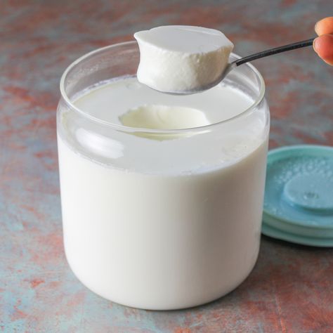 How to make thick and creamy lactose free homemade yogurt - Luvele US Thick Yogurt Recipe, Non Dairy Yogurt Recipe, Lactose Free Milk Recipes, Lactose Free Yogurt Recipe, Lactose Free Yogurt, Dairy Free Yogurt Recipe, Homemade Yoghurt, Dairy Free Greek Yogurt, Yogurt Homemade