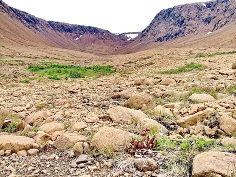 Hiking in the barren desert of Newfoundland's Tablelands Geography Aesthetic, Barren Land, Gros Morne National Park, Gros Morne, Landscape Reference, Planet Mars, Aesthetic Ideas, Magic Book, The Empress