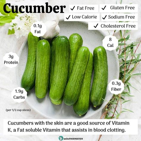 Cucumber (Cucumis sativus) is a widely-cultivated creeping vine plant in the Cucurbitaceae gourd family that bears cucumiform fruits, which are used as vegetables. There are three main varieties of cucumber—slicing, pickling, and burpless/seedless—within which several cultivars have been created. It’s high in beneficial nutrients, as well as certain plant compounds and antioxidants that may help treat and even prevent some conditions. Also, cucumbers are low in calories . Cucumber Nutrition Facts, Cucumber Calories, Cucumber Kimchi, Cucumber Benefits, Cucumber Canning, Improve Nutrition, Fat Soluble Vitamins, Grape Salad, Gluten Sensitivity