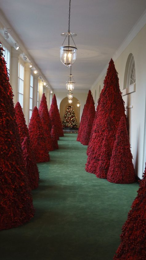 White House Christmas Decorations, White House Christmas Tree, British Christmas, Luxury Christmas Decor, White House Christmas, Traditional Christmas Decorations, Christmas Tablescape, Christmas Interiors, Christmas Display